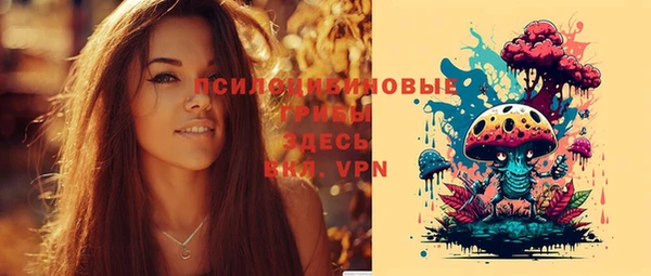 apvp Новокубанск