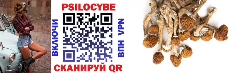 Галлюциногенные грибы MAGIC MUSHROOMS  Купить  Аргун 